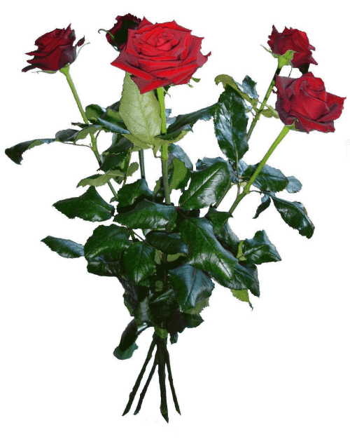 Rosbukett Rosbukett