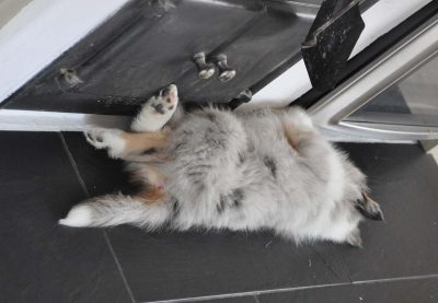 Sover man så sover man!