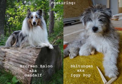 Brorsan Baloo och Skitungen