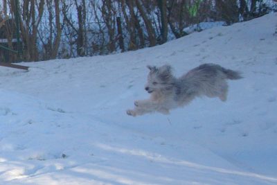 Snö