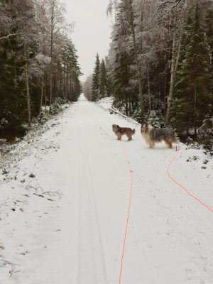 Grundvattnet och sånt