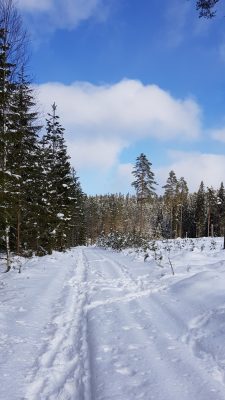 Vinter
