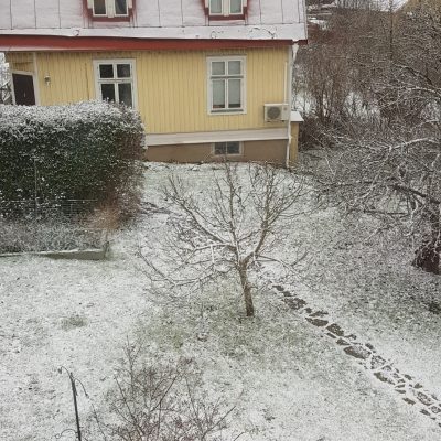 Första snön