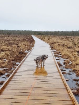 Regn och dåliga kläder