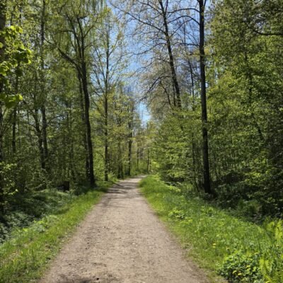 En långpromenad