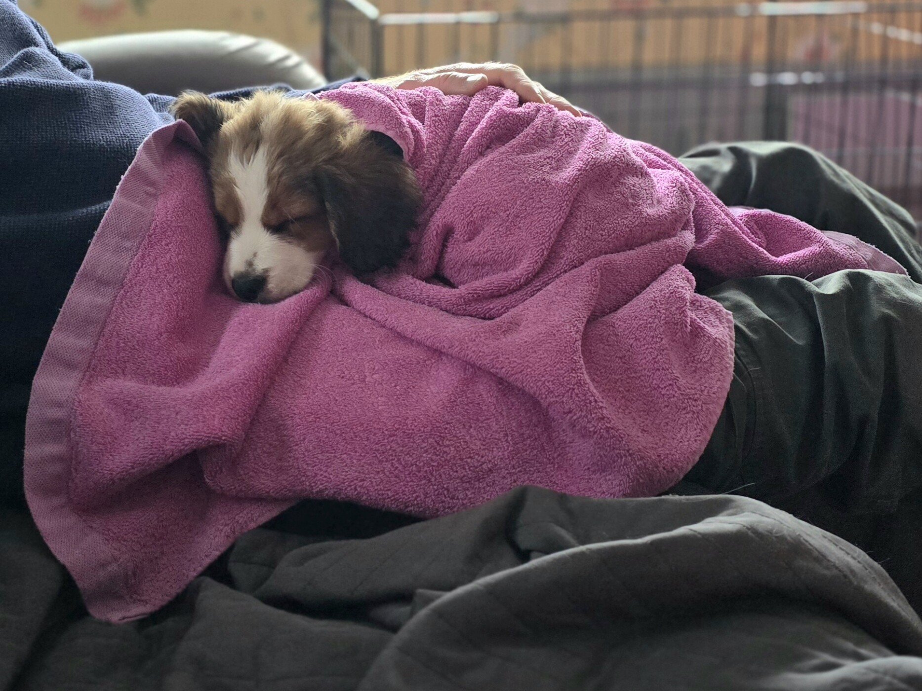 Nyduschad Felix efter att VIlle kissade på honom